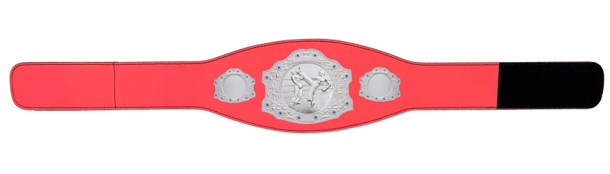 SILVER CHAMPIONSHIP BELT - XXLMIDI/S/KICKBOXS - AVAILABLE IN 4 LEATHER COLOURS SILVER CHAMPIONSHIP BELT - XXLMIDI/S/KICKBOXS - AVAILABLE IN 4 LEATHER COLOURS